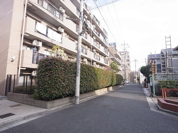 【マイキャッスル練馬高野台】前面道路 【マイキャッスル練馬高野台】前面道路