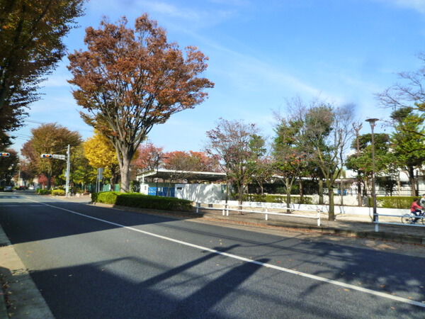 【パレホームズ大泉学園】前面道路