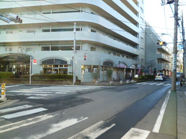 【ハイシティプラザ南大泉】前面道路