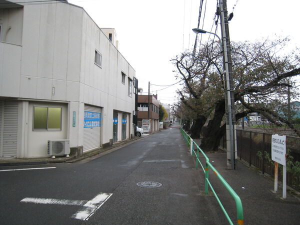 エレガンス武蔵関