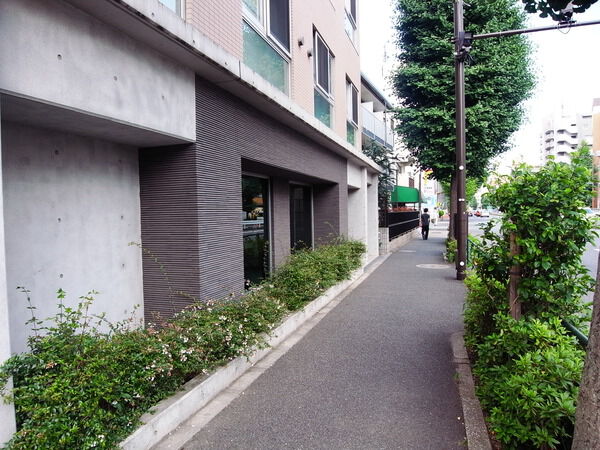 【ダイアパレス関町】前面道路