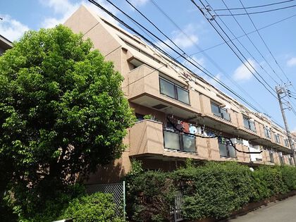 外観 外観