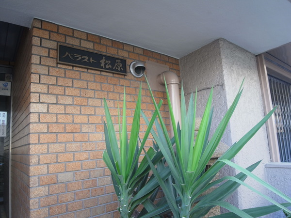 【パラスト松原】エンブレム 【パラスト松原】エンブレム