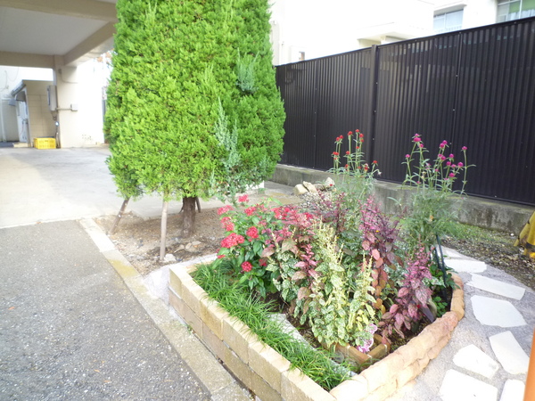 【シャルマンコーポ芦花公園】植栽 【シャルマンコーポ芦花公園】植栽