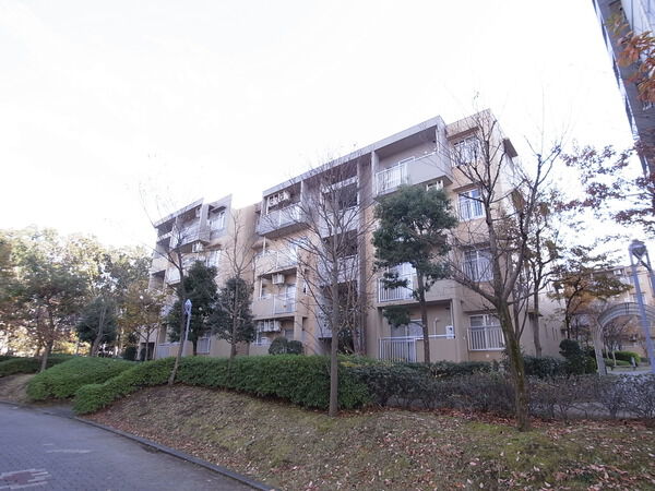 南大沢学園一番街