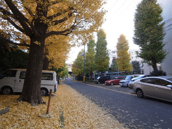 【烏山北住宅】外観