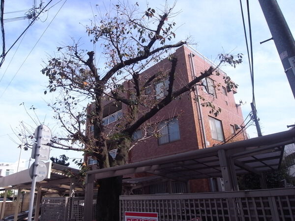 【でがしらやまビル】外観写真