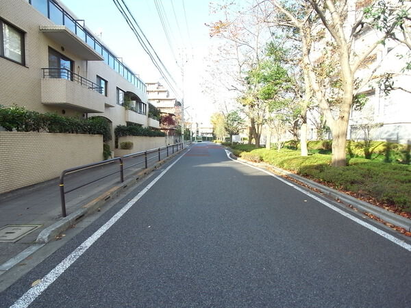 【タウンハイツ砧】前面道路