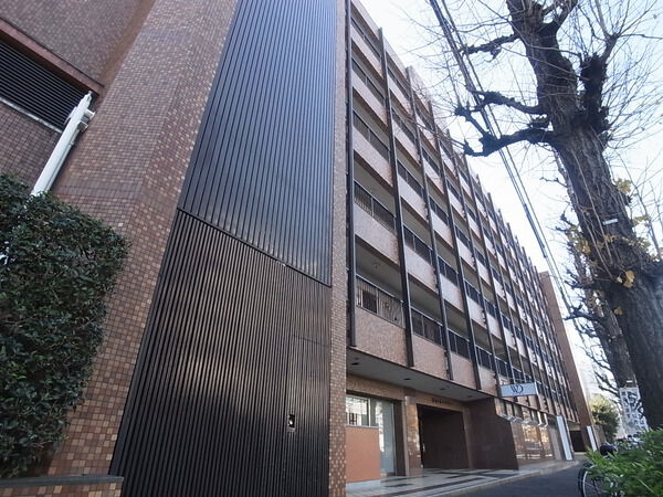 【自由ヶ丘ハイタウン】外観写真