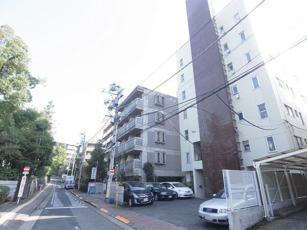 田園スカイマンション 2枚目 田園スカイマンション