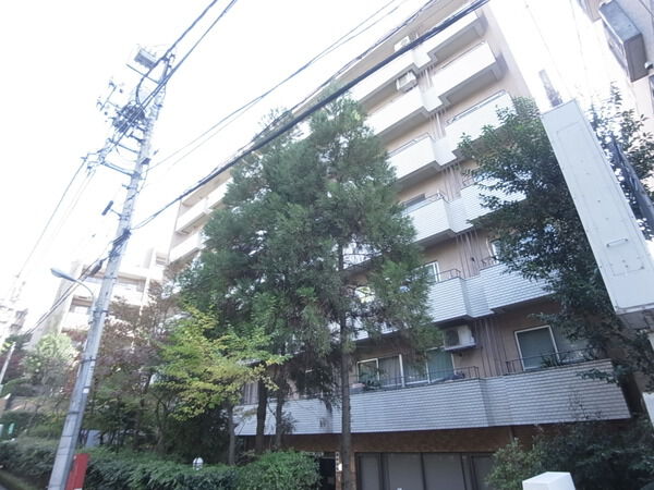 田園調布ハイツ