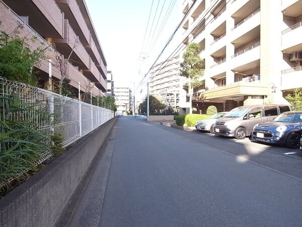 【クリオ綱島東壱番館】前面道路 【クリオ綱島東壱番館】前面道路