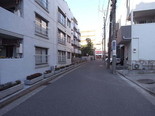 【セザール綱島】前面道路 【セザール綱島】前面道路