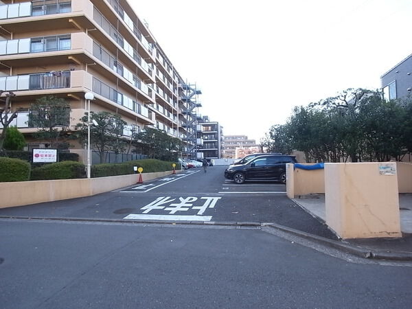 【常和綱島サンハイツ】駐車場 【常和綱島サンハイツ】駐車場