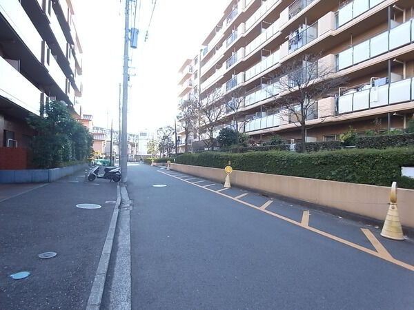 【常和綱島サンハイツ】前面道路 【常和綱島サンハイツ】前面道路