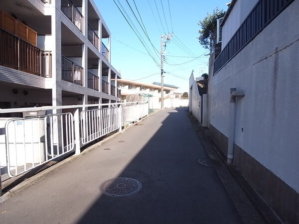 【ライオンズマンション大倉山第11】前面道路