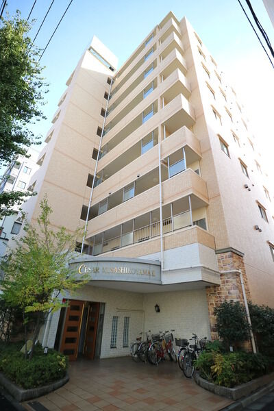 セザール第2武蔵小山