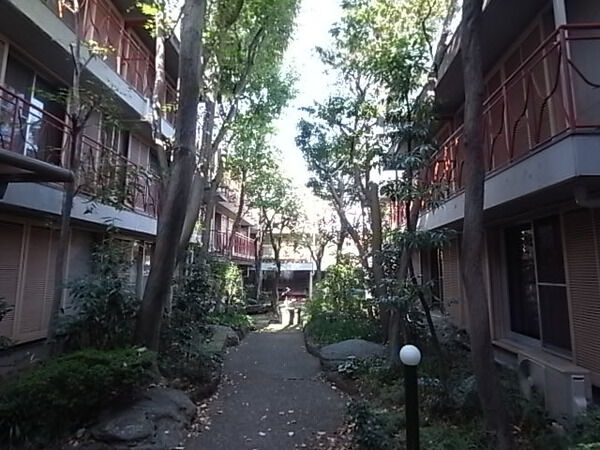 【桜集合住宅アトリエ】中庭 【桜集合住宅アトリエ】中庭