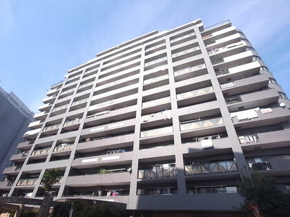 外観 外観