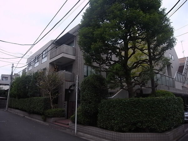 ハウス和田