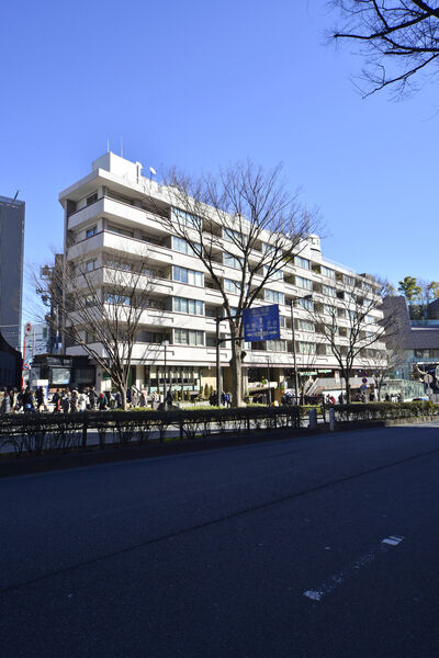 グリーンファンタジア
