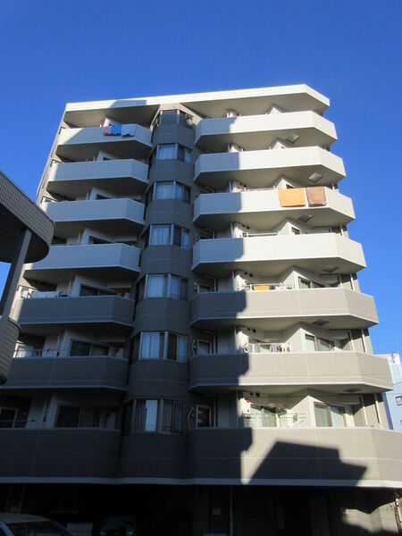 シアンズ王子 2枚目 シアンズ王子