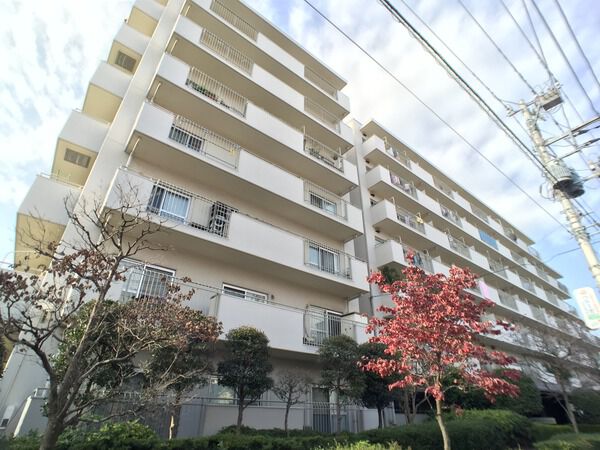 蓮根スカイマンション