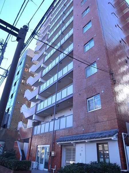 シャンボール菊川