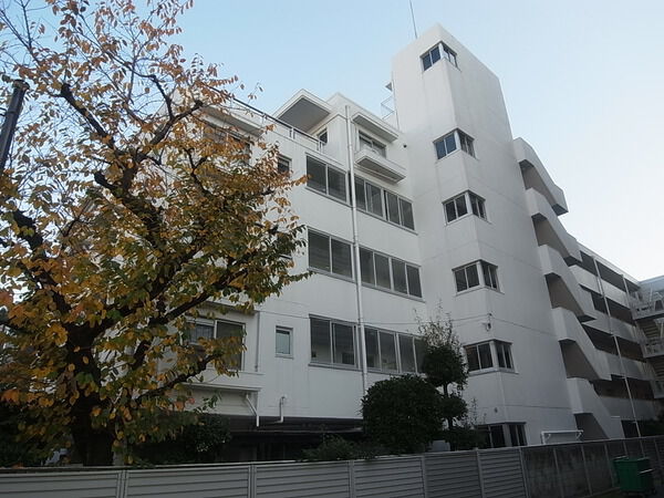グレイス大島