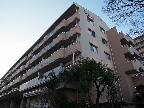 パルプラザ小松川