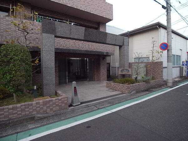 ルピナス大倉山