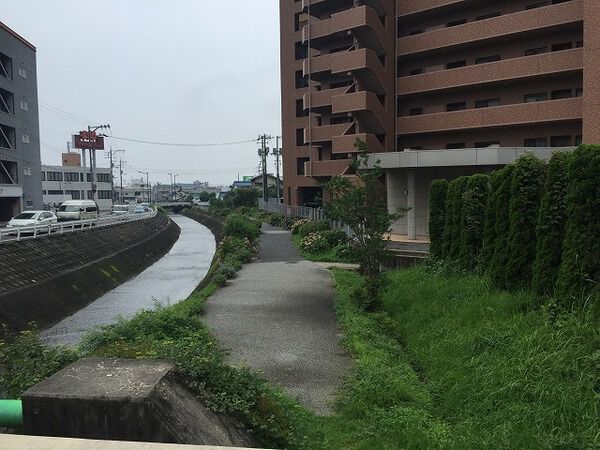 【プレジデント皇神五日市】外観