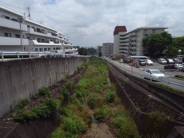 【逆瀬川グリーンハイツ】白瀬川(徒歩１分)