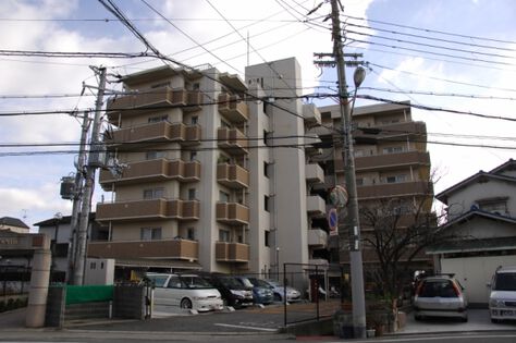 外観 外観
