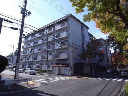 ディオハイツ金剛