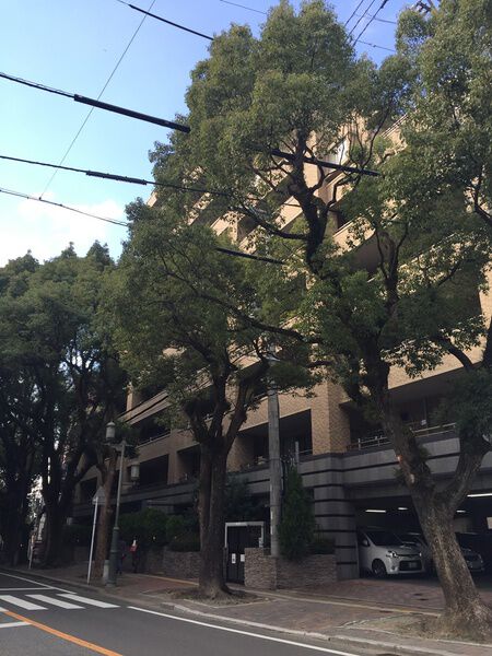 アーバンパレス香椎参道ソフィアールアベニュー