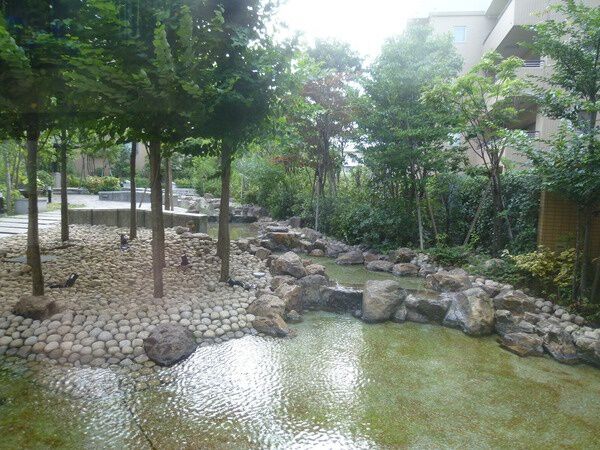 【アデニウム吉祥寺】中庭