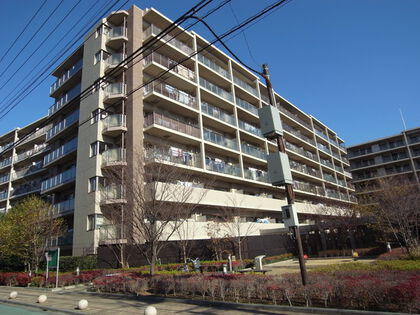 外観 外観
