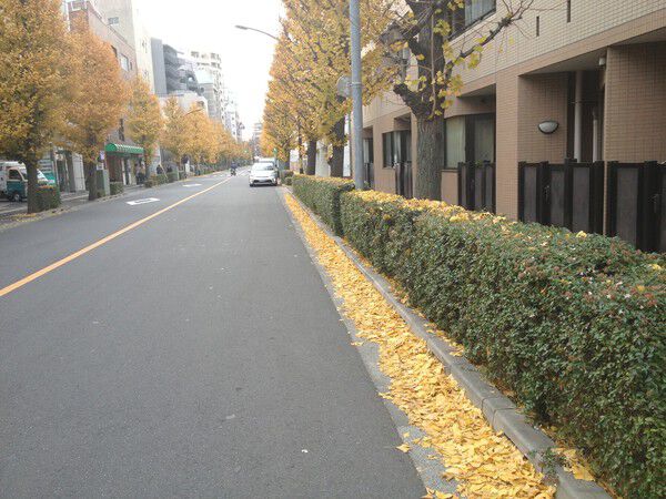 クリオ三鷹壱番館