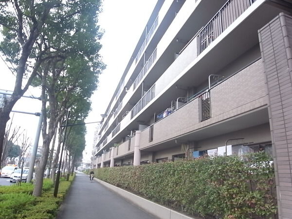 【アドリーム武蔵小金井】南側からの撮影です 【アドリーム武蔵小金井】南側からの撮影です