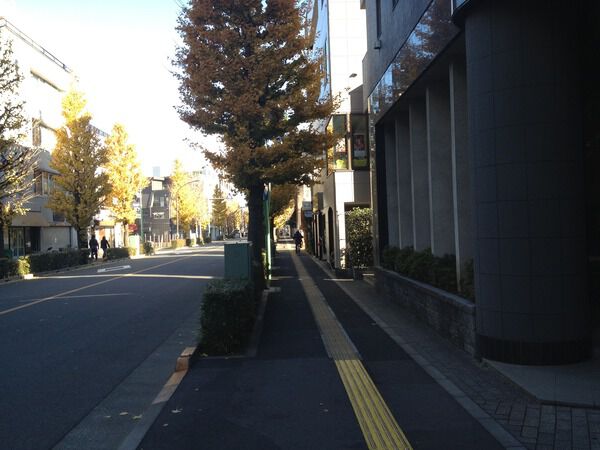 【ヴェルビュ武蔵野中町】北側道路 【ヴェルビュ武蔵野中町】北側道路