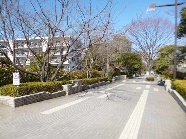 【グリーンライフ南大沢】隣接の駅へ続く遊歩道