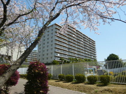 桜と現地外観 桜と現地外観