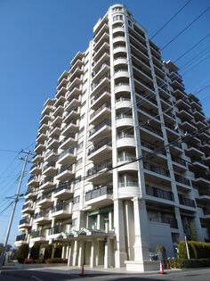 コットンアイランドアルテ