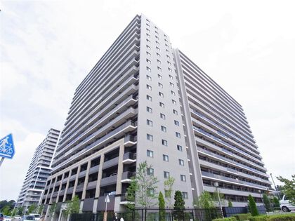 外眼 外眼