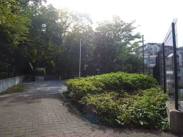 【パークハウス池田山公園-白金台の杜-】隣接公園