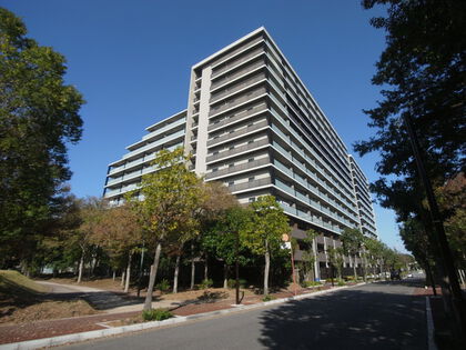 緑豊かな公園に隣接したマンションです 緑豊かな公園に隣接したマンションです