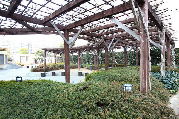 春になると紫色の花が咲き誇る藤棚のパーゴラサークル。丸太ベンチでゆっくりと。