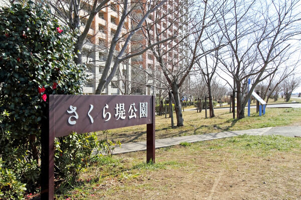 住まいの下には、桜並木が美しい「さくら堤公園」が隣接されています。