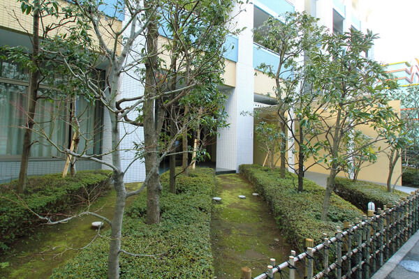 エントランス近くの植栽は生活に瑞々しい潤いを与えます。 エントランス近くの植栽は生活に瑞々しい潤いを与えます。